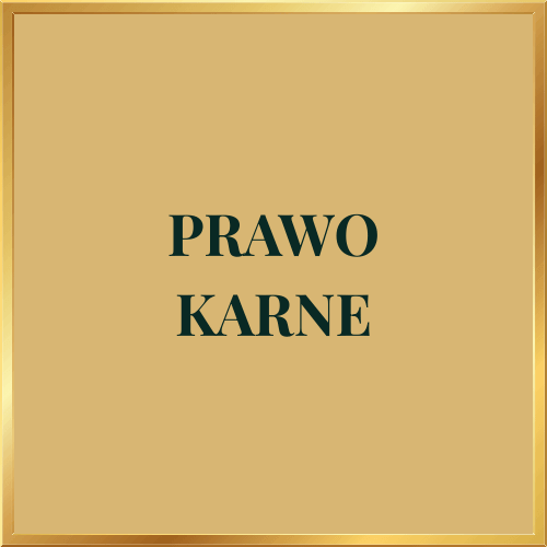 Adwokat sprawy karne Gdańsk – skuteczna obrona i reprezentacja